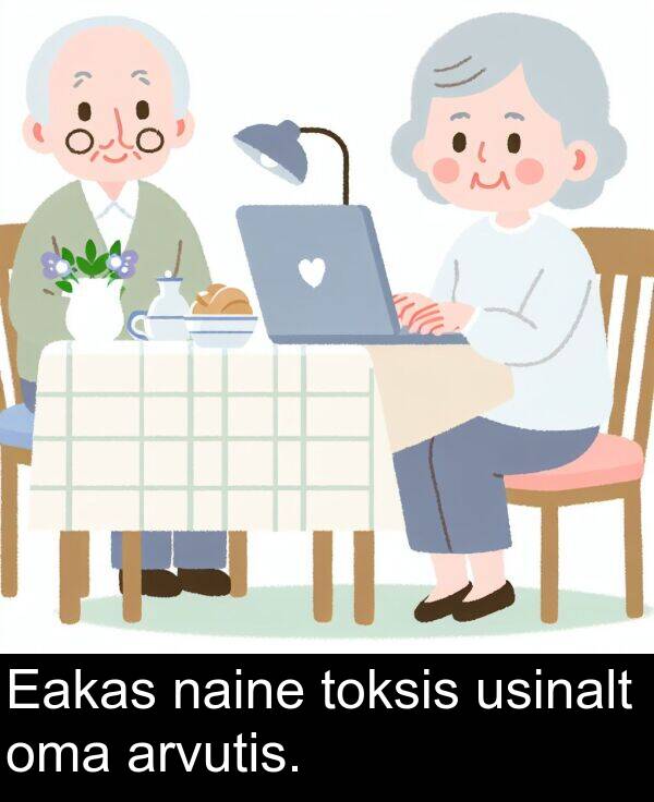 usinalt: Eakas naine toksis usinalt oma arvutis.
