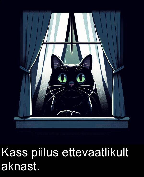aknast: Kass piilus ettevaatlikult aknast.