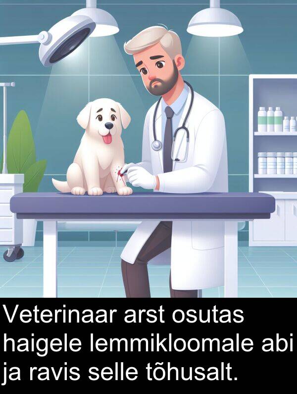 tõhusalt: Veterinaar arst osutas haigele lemmikloomale abi ja ravis selle tõhusalt.