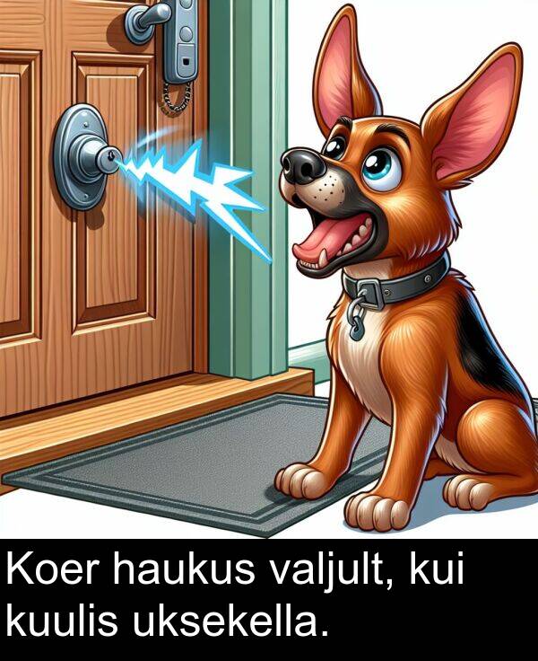 uksekella: Koer haukus valjult, kui kuulis uksekella.