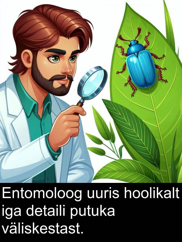väliskestast: Entomoloog uuris hoolikalt iga detaili putuka väliskestast.