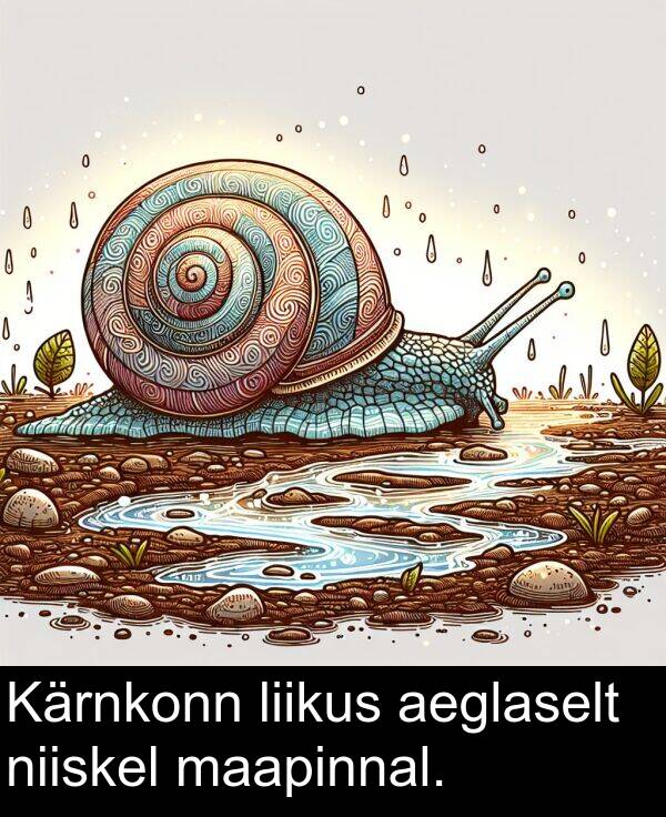 liikus: Kärnkonn liikus aeglaselt niiskel maapinnal.