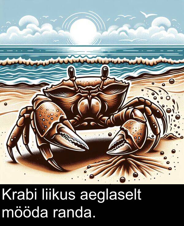 mööda: Krabi liikus aeglaselt mööda randa.