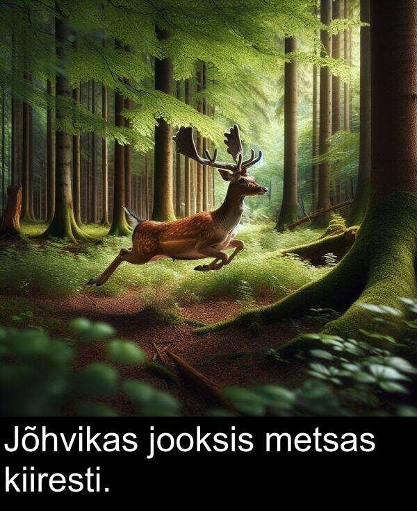 metsas: Jõhvikas jooksis metsas kiiresti.