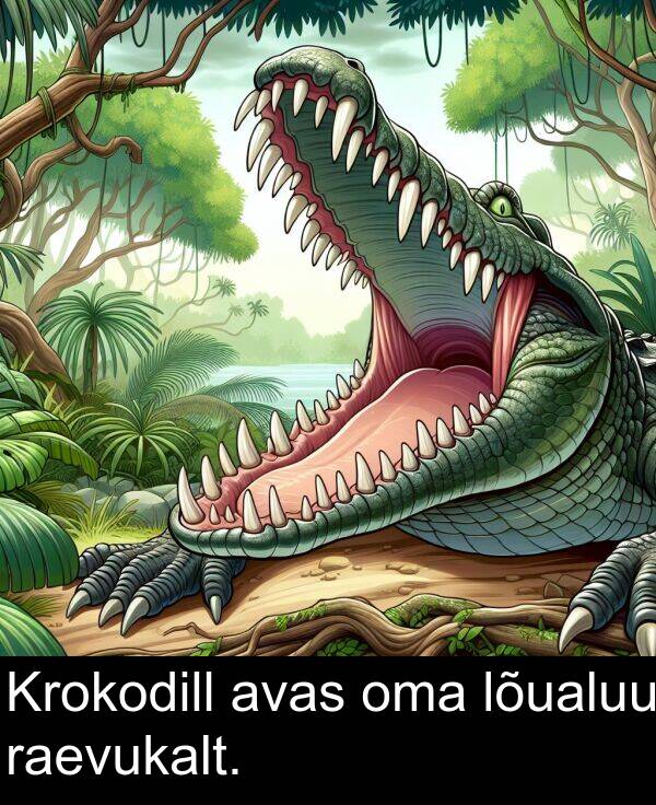 lõualuu: Krokodill avas oma lõualuu raevukalt.