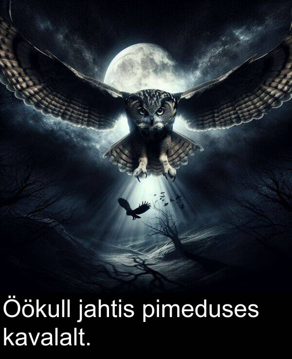 jahtis: Öökull jahtis pimeduses kavalalt.