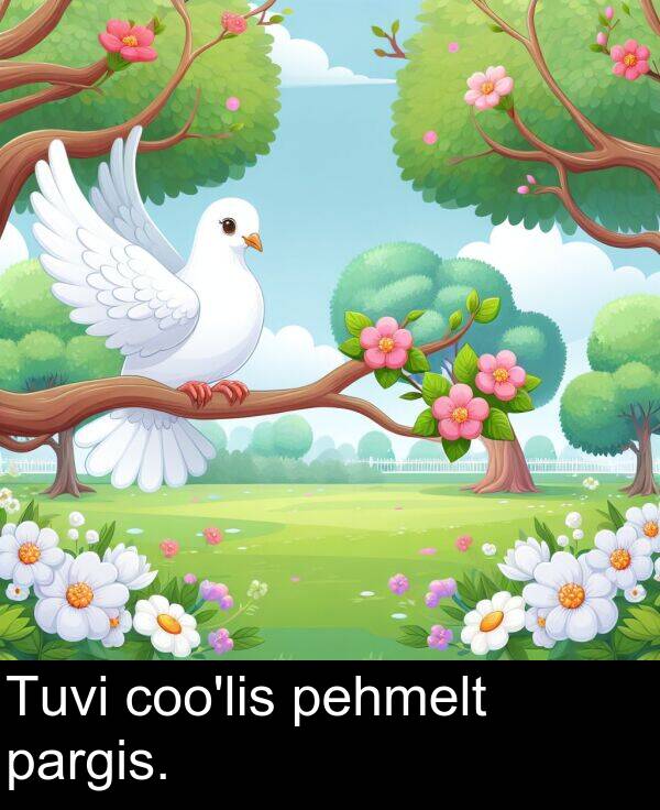 pehmelt: Tuvi coo'lis pehmelt pargis.