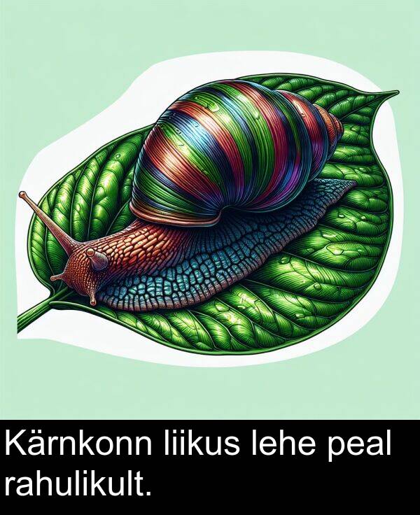 liikus: Kärnkonn liikus lehe peal rahulikult.