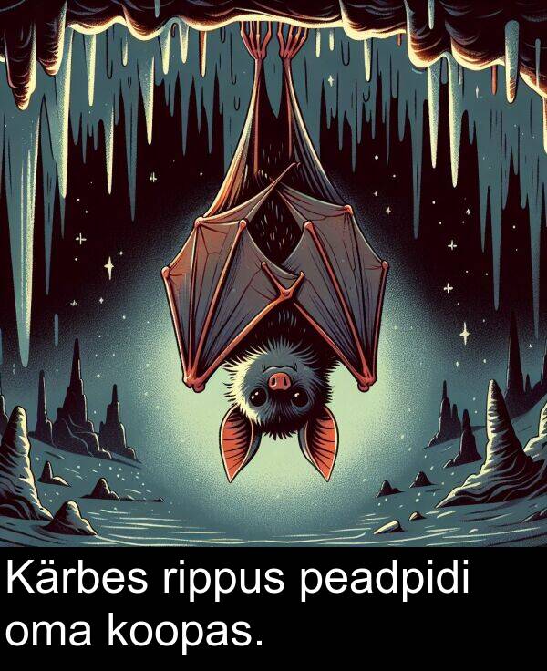 rippus: Kärbes rippus peadpidi oma koopas.