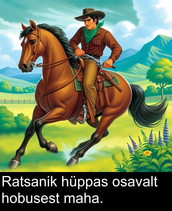 osavalt: Ratsanik hüppas osavalt hobusest maha.