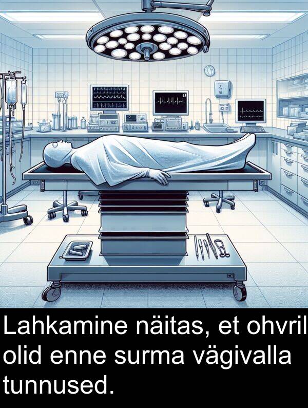 ohvril: Lahkamine näitas, et ohvril olid enne surma vägivalla tunnused.