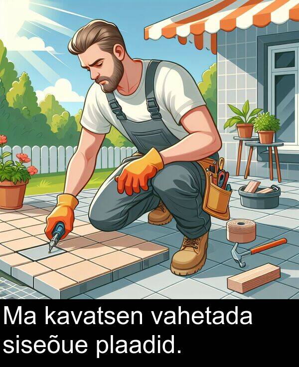 plaadid: Ma kavatsen vahetada siseõue plaadid.