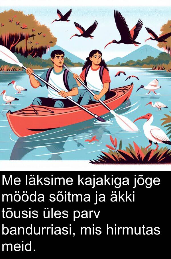 bandurriasi: Me läksime kajakiga jõge mööda sõitma ja äkki tõusis üles parv bandurriasi, mis hirmutas meid.