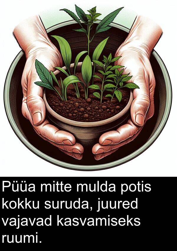 ruumi: Püüa mitte mulda potis kokku suruda, juured vajavad kasvamiseks ruumi.