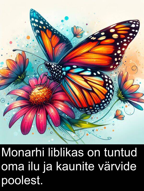 poolest: Monarhi liblikas on tuntud oma ilu ja kaunite värvide poolest.