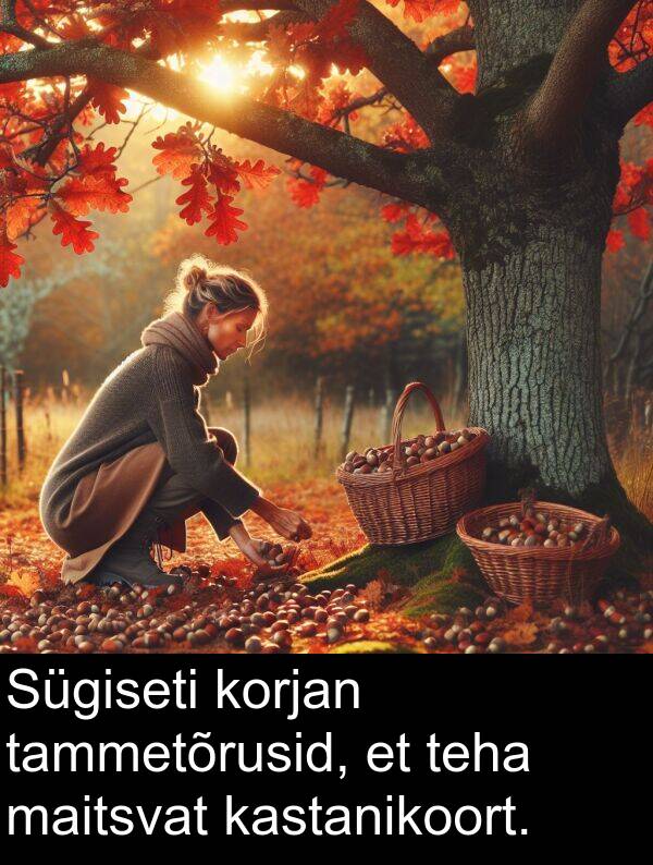 korjan: Sügiseti korjan tammetõrusid, et teha maitsvat kastanikoort.
