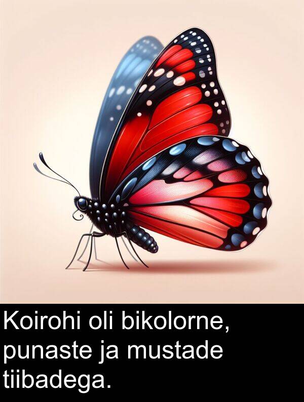 bikolorne: Koirohi oli bikolorne, punaste ja mustade tiibadega.