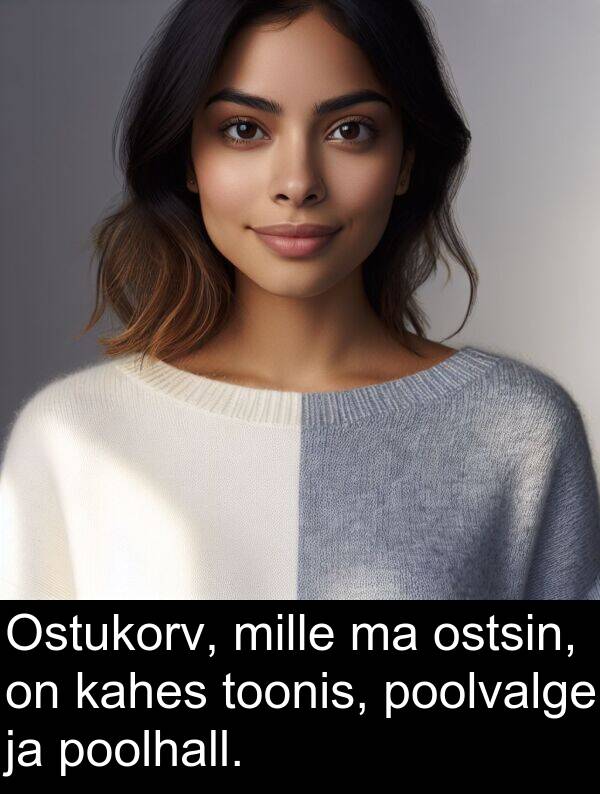 ostsin: Ostukorv, mille ma ostsin, on kahes toonis, poolvalge ja poolhall.