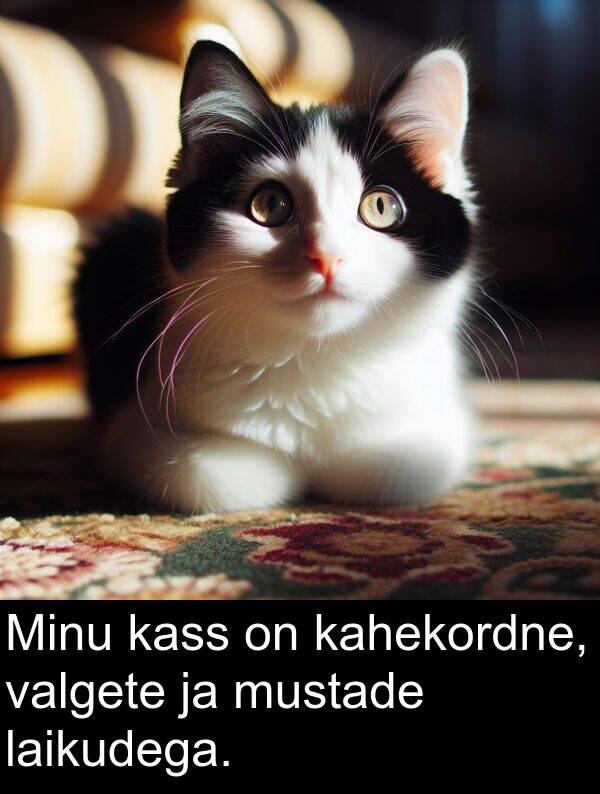 mustade: Minu kass on kahekordne, valgete ja mustade laikudega.