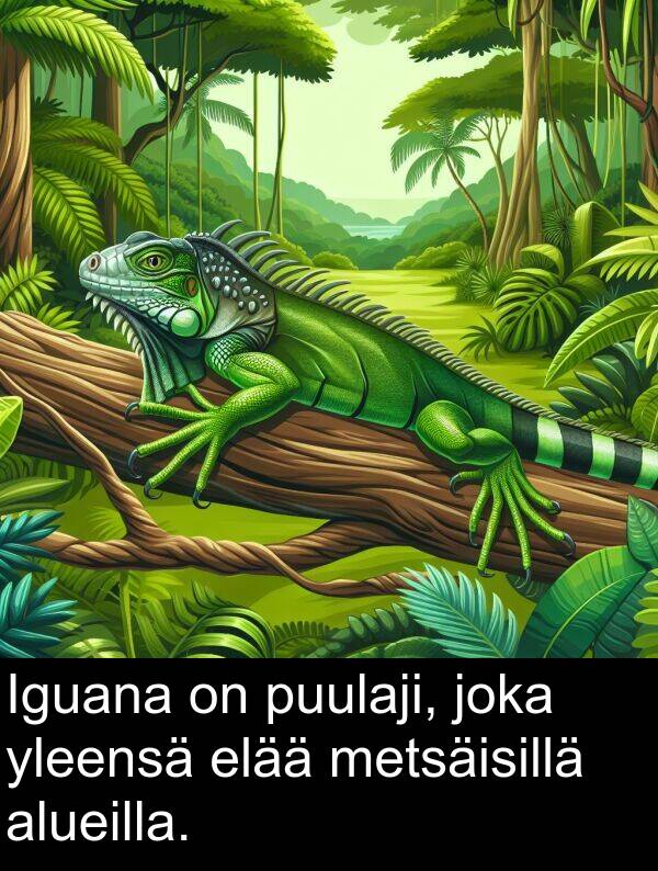 puulaji: Iguana on puulaji, joka yleensä elää metsäisillä alueilla.