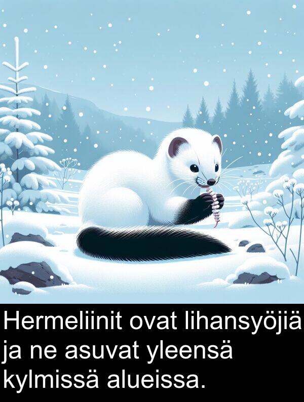 yleensä: Hermeliinit ovat lihansyöjiä ja ne asuvat yleensä kylmissä alueissa.