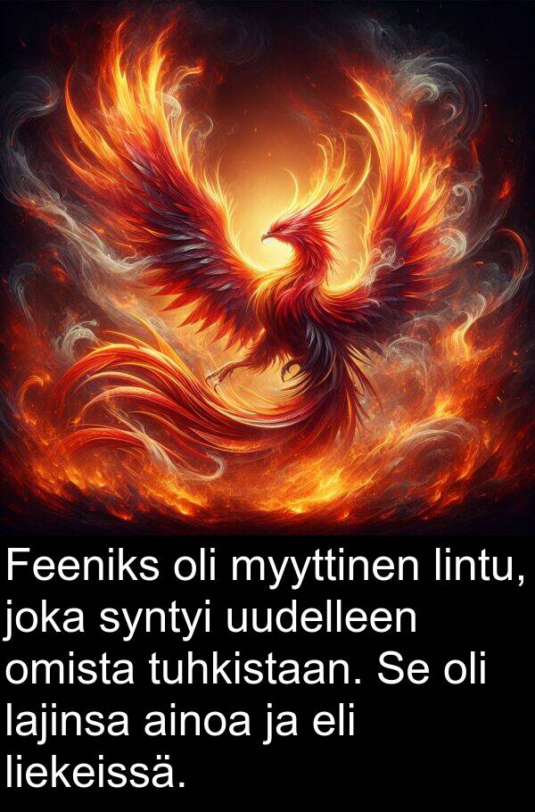 syntyi: Feeniks oli myyttinen lintu, joka syntyi uudelleen omista tuhkistaan. Se oli lajinsa ainoa ja eli liekeissä.