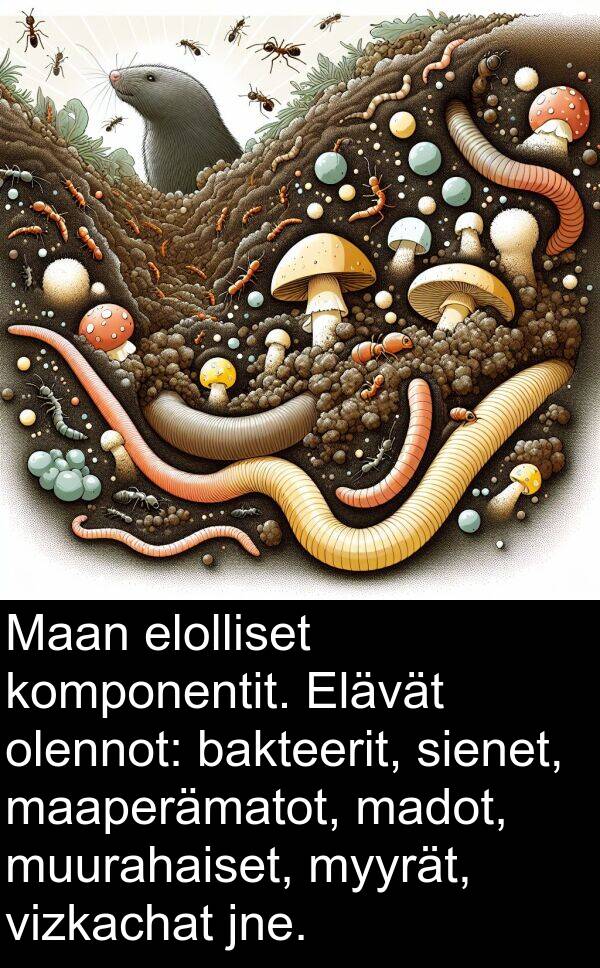 olennot: Maan elolliset komponentit. Elävät olennot: bakteerit, sienet, maaperämatot, madot, muurahaiset, myyrät, vizkachat jne.