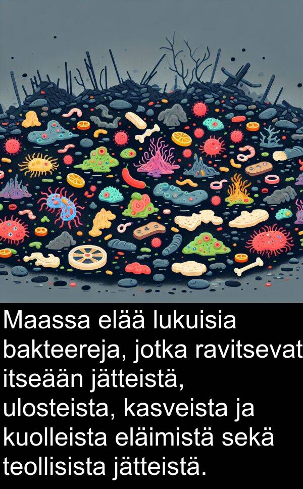 sekä: Maassa elää lukuisia bakteereja, jotka ravitsevat itseään jätteistä, ulosteista, kasveista ja kuolleista eläimistä sekä teollisista jätteistä.