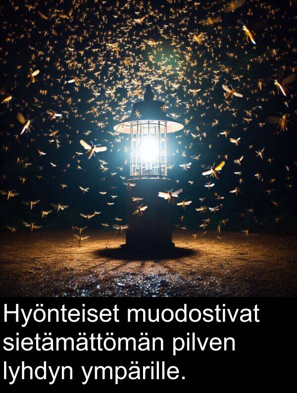 sietämättömän: Hyönteiset muodostivat sietämättömän pilven lyhdyn ympärille.