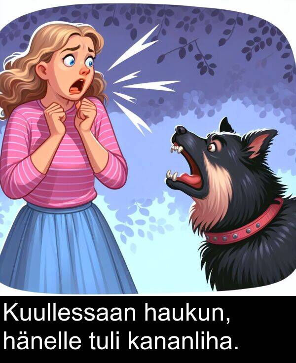 kananliha: Kuullessaan haukun, hänelle tuli kananliha.