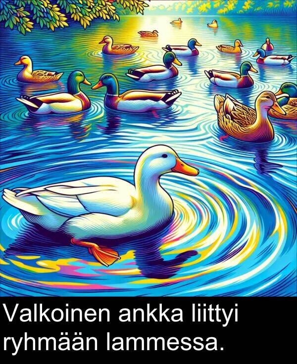 lammessa: Valkoinen ankka liittyi ryhmään lammessa.