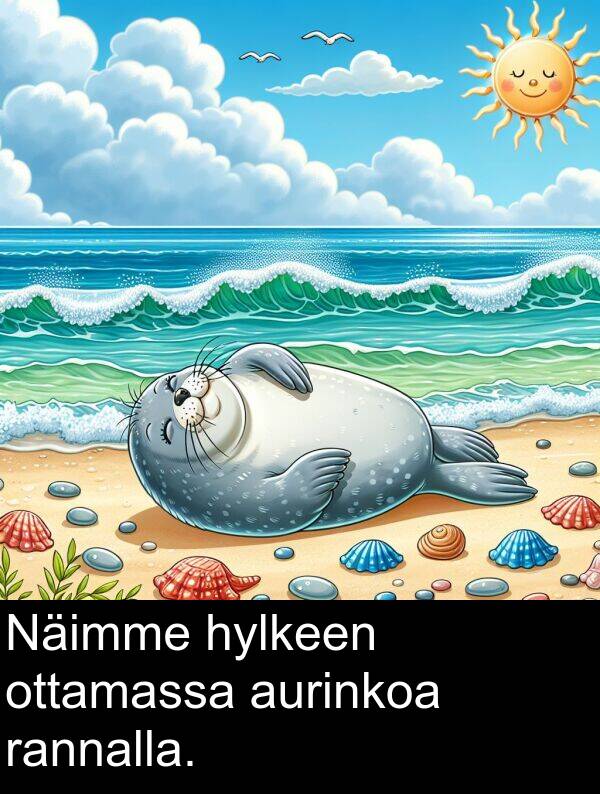 ottamassa: Näimme hylkeen ottamassa aurinkoa rannalla.