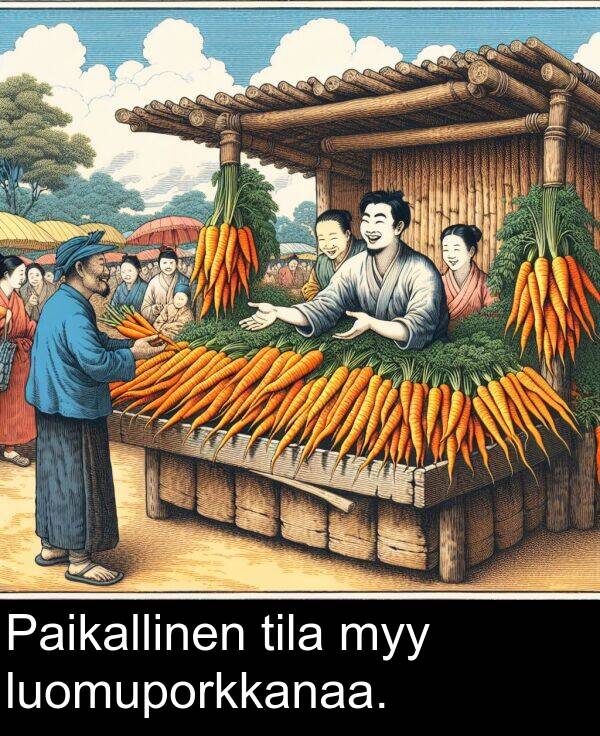 luomuporkkanaa: Paikallinen tila myy luomuporkkanaa.