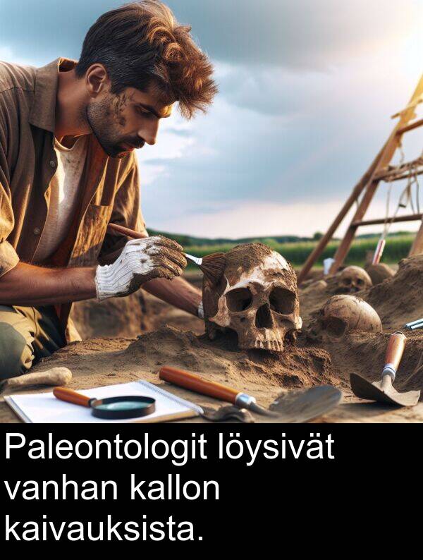 kaivauksista: Paleontologit löysivät vanhan kallon kaivauksista.