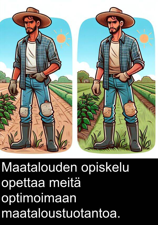 opettaa: Maatalouden opiskelu opettaa meitä optimoimaan maataloustuotantoa.