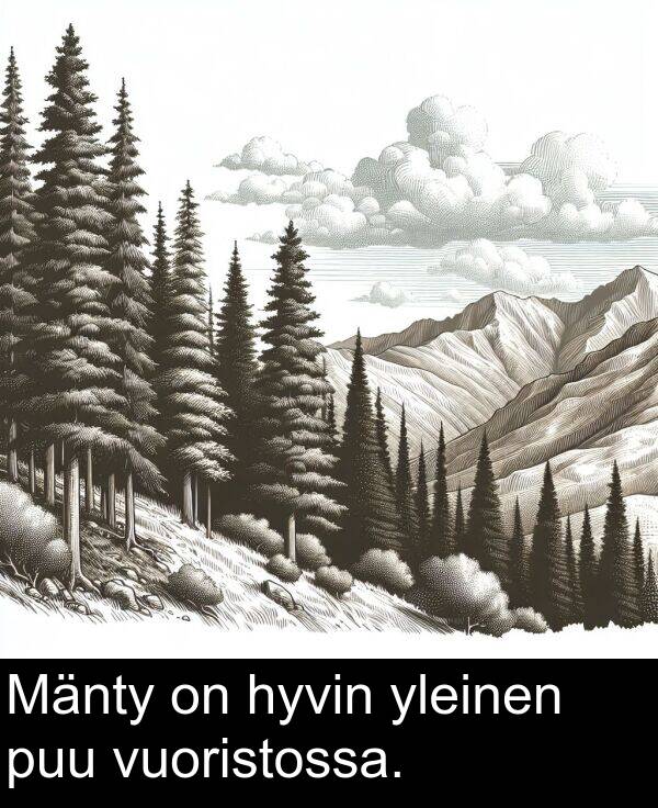 yleinen: Mänty on hyvin yleinen puu vuoristossa.