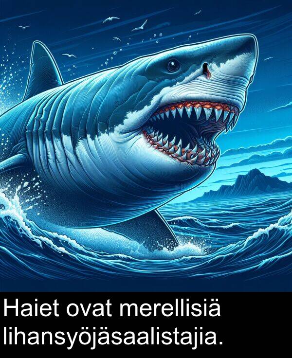 ovat: Haiet ovat merellisiä lihansyöjäsaalistajia.