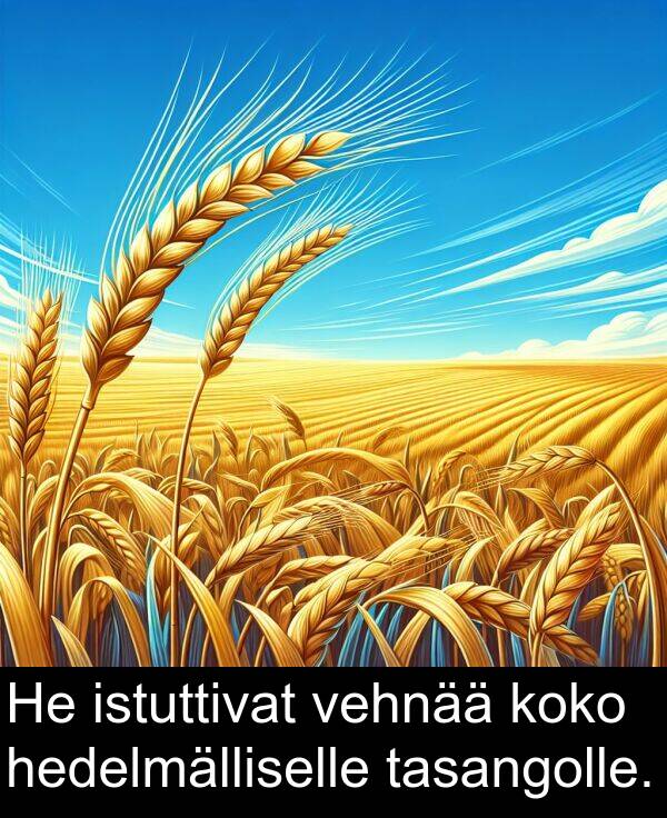 vehnää: He istuttivat vehnää koko hedelmälliselle tasangolle.