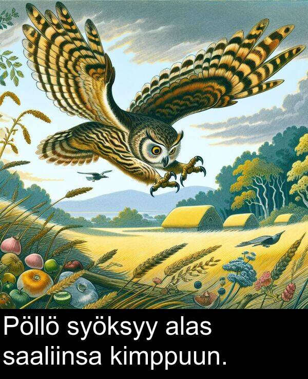 syöksyy: Pöllö syöksyy alas saaliinsa kimppuun.