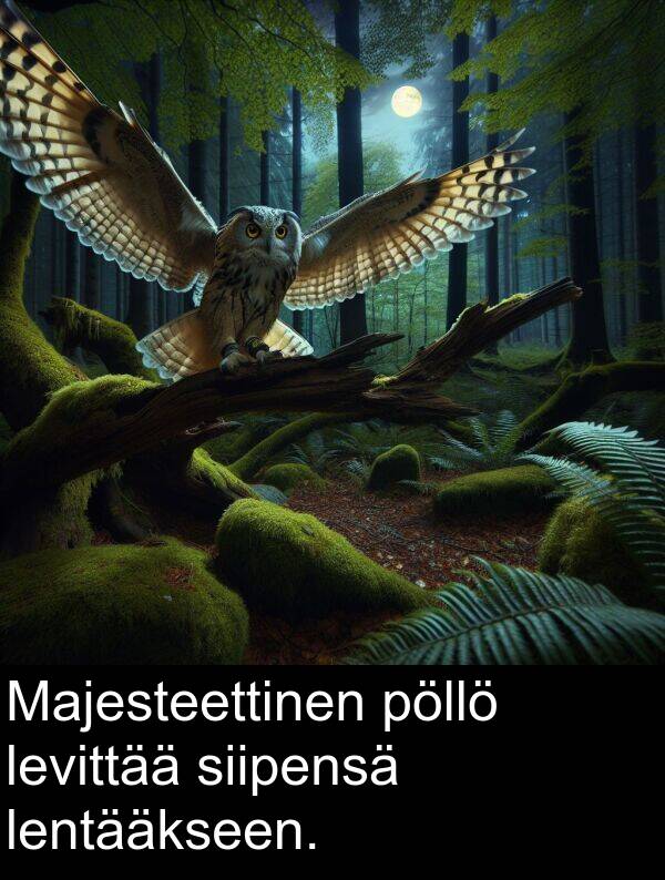 siipensä: Majesteettinen pöllö levittää siipensä lentääkseen.