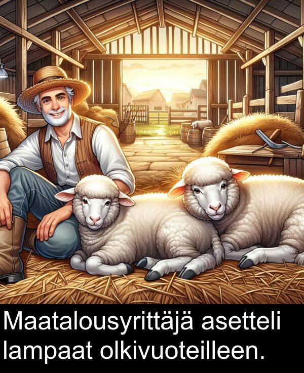 asetteli: Maatalousyrittäjä asetteli lampaat olkivuoteilleen.