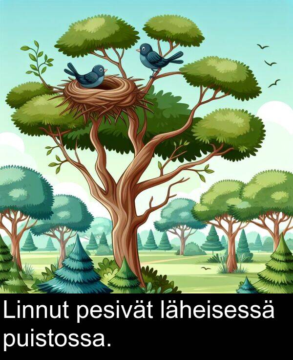 puistossa: Linnut pesivät läheisessä puistossa.