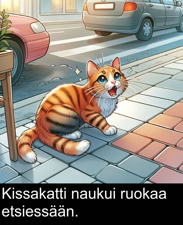ruokaa: Kissakatti naukui ruokaa etsiessään.
