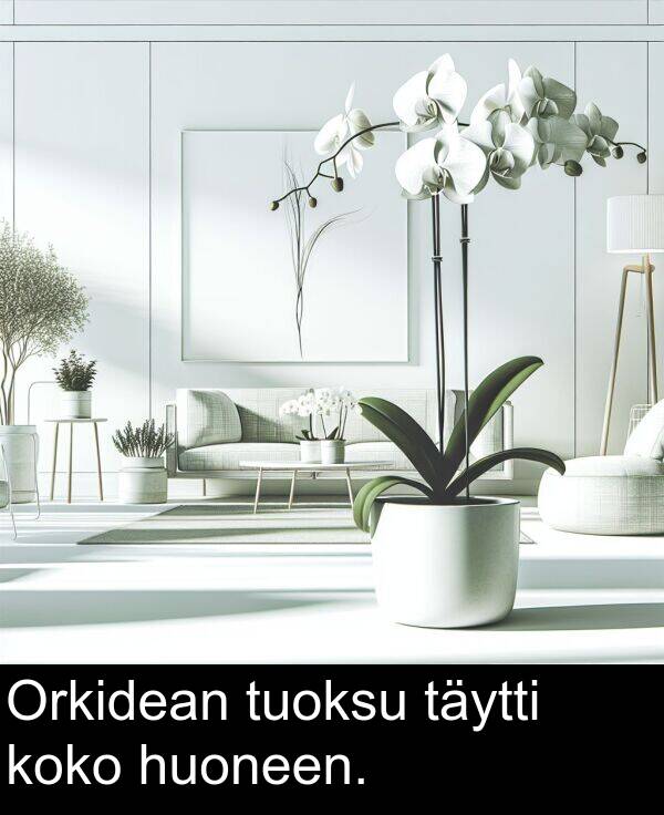 tuoksu: Orkidean tuoksu täytti koko huoneen.