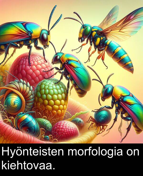morfologia: Hyönteisten morfologia on kiehtovaa.