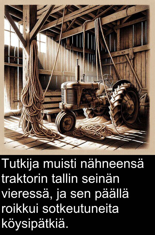 seinän: Tutkija muisti nähneensä traktorin tallin seinän vieressä, ja sen päällä roikkui sotkeutuneita köysipätkiä.