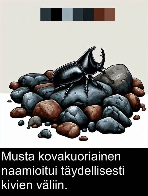 naamioitui: Musta kovakuoriainen naamioitui täydellisesti kivien väliin.