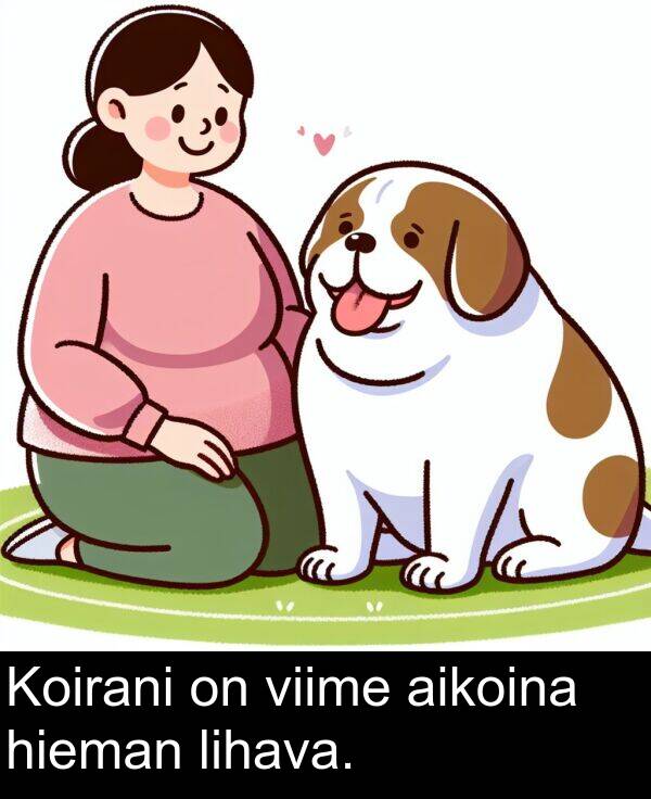 viime: Koirani on viime aikoina hieman lihava.