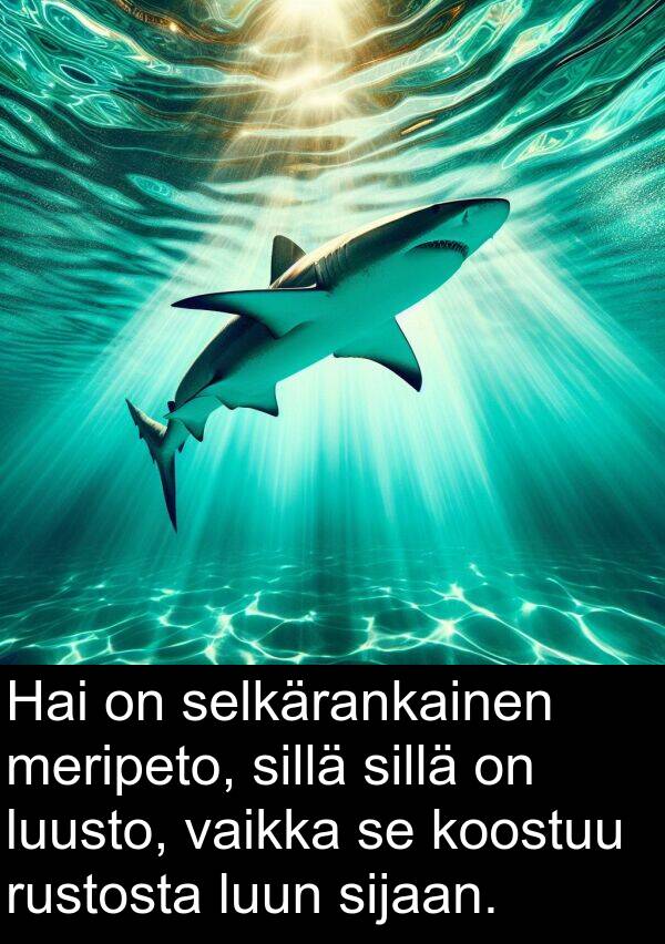 sillä: Hai on selkärankainen meripeto, sillä sillä on luusto, vaikka se koostuu rustosta luun sijaan.