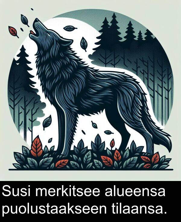 merkitsee: Susi merkitsee alueensa puolustaakseen tilaansa.
